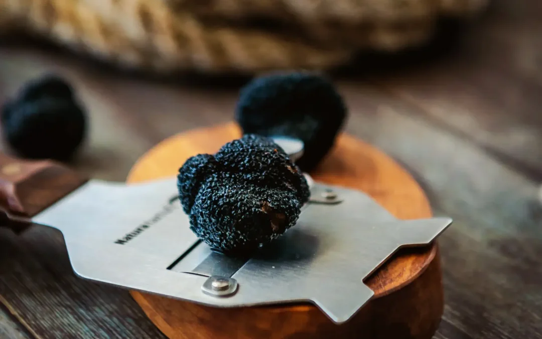 ISTRIAN TRUFFLES – A Taste of Hidden Croatia